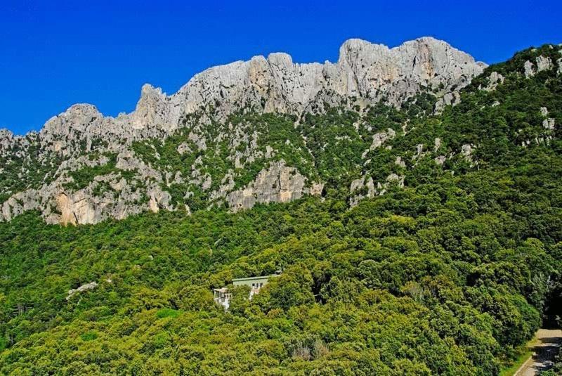 Hotel S'Enis Monte Maccione à Oliena Extérieur photo